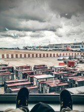 20160626_131405_HDR~2-1